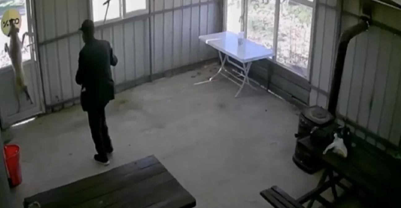 Edirne’de Köpeğe Zalimce İşkence