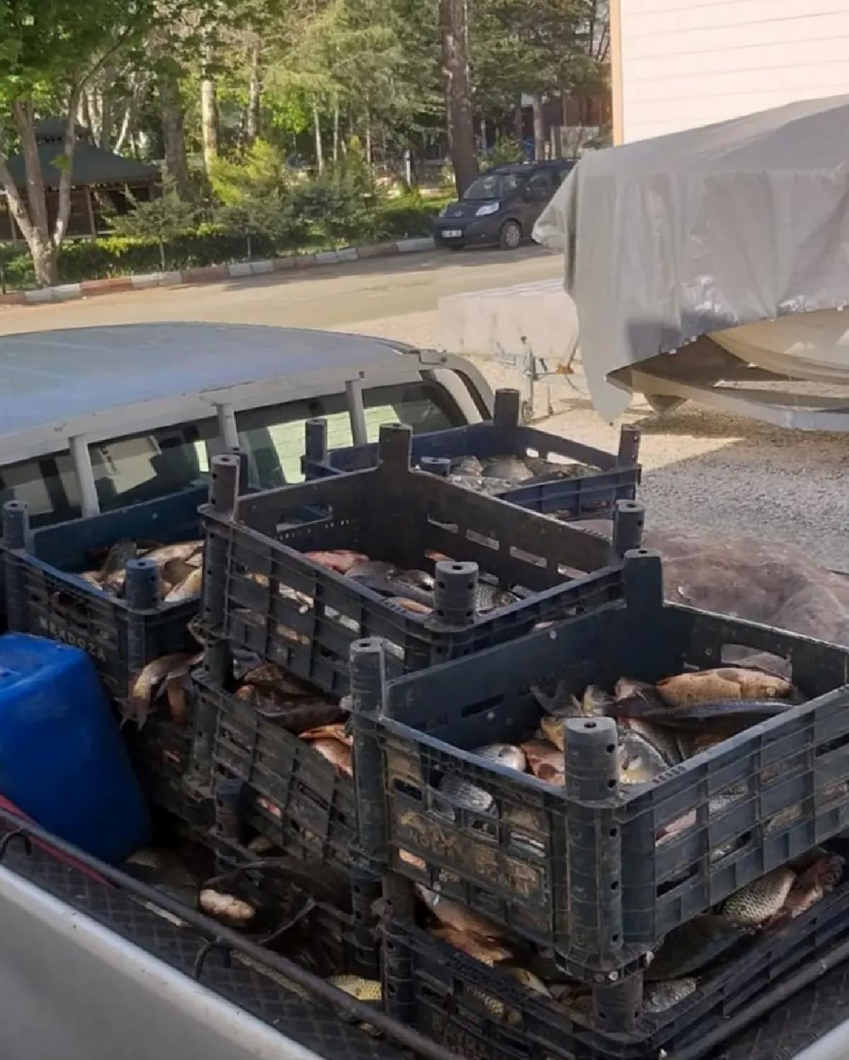 Elazığ’da Kaçak Avcıya 700 Kg Balık Ceza