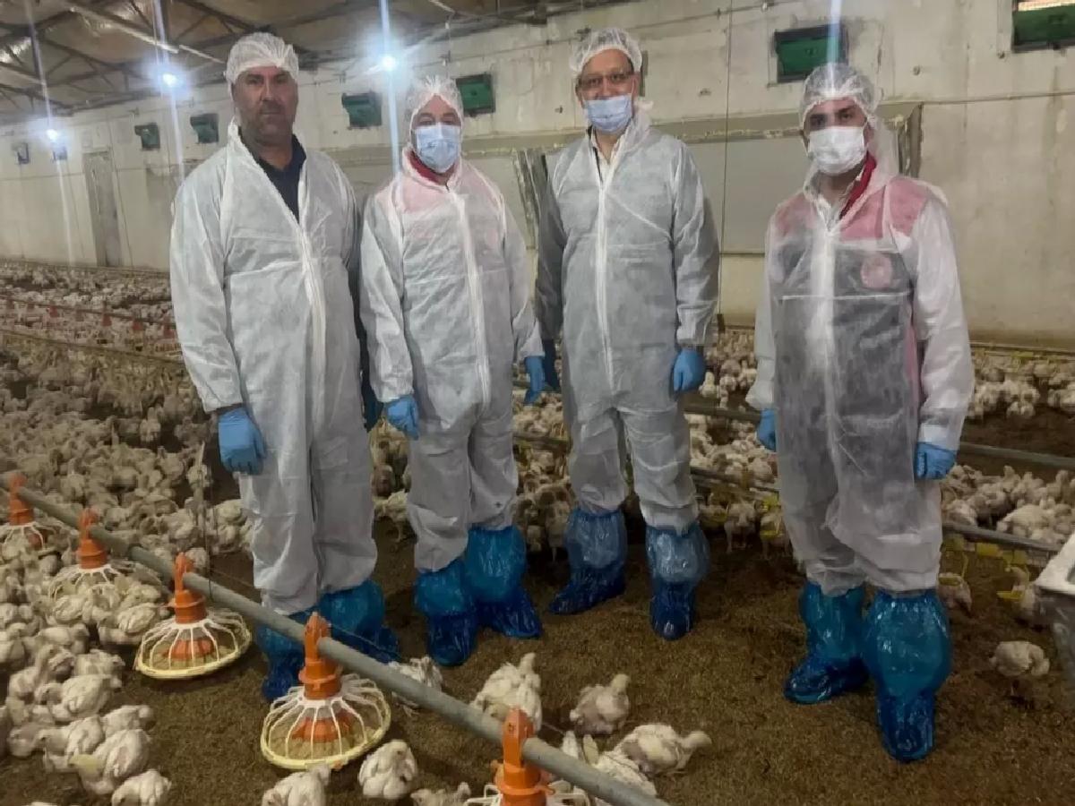 Erzincan’da Kanatlı Hayvan Sektörü Canlanıyor