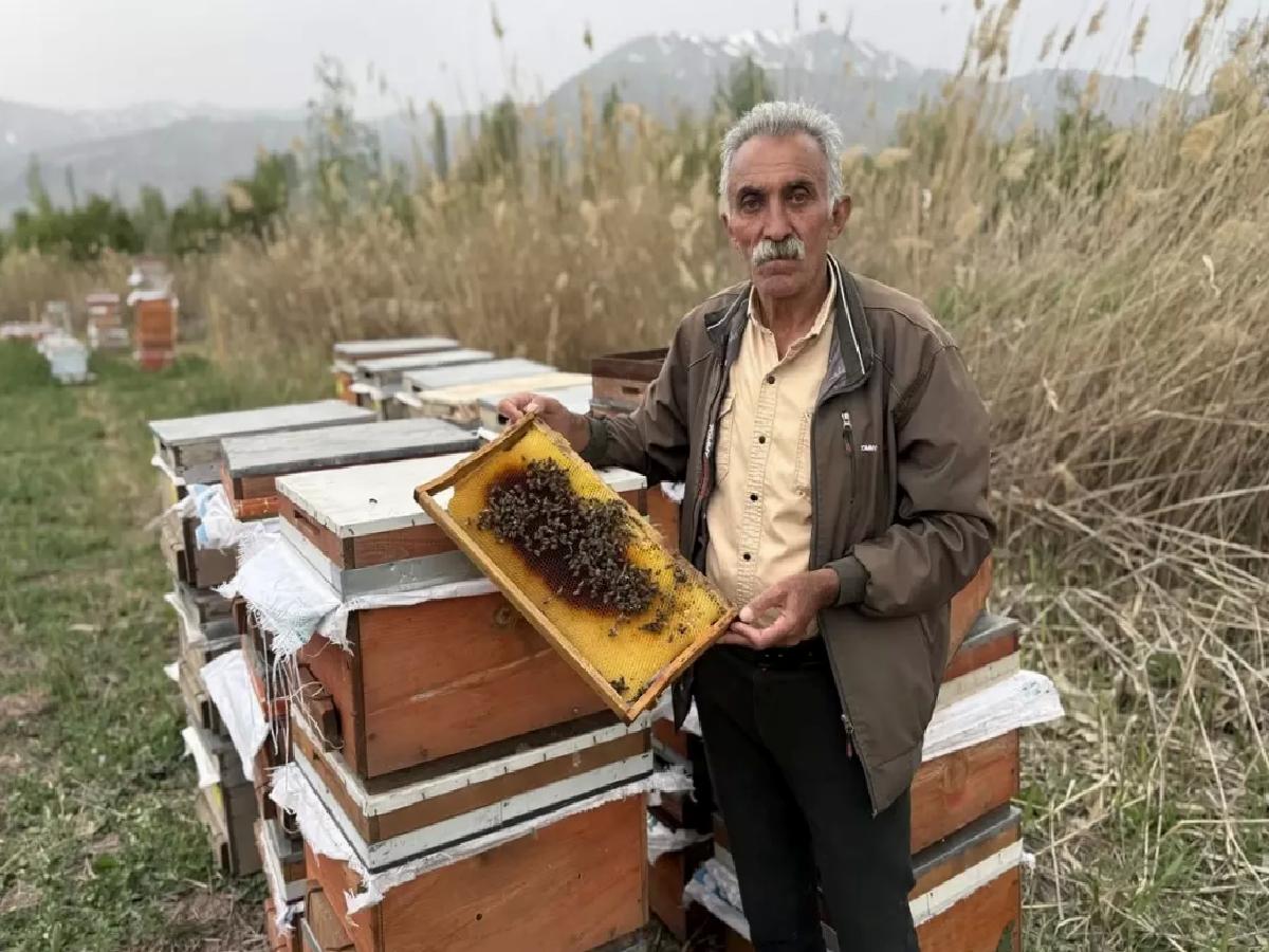 Erzincan’da Soğuk Hava Arıcılığı Olumsuz Etkiliyor