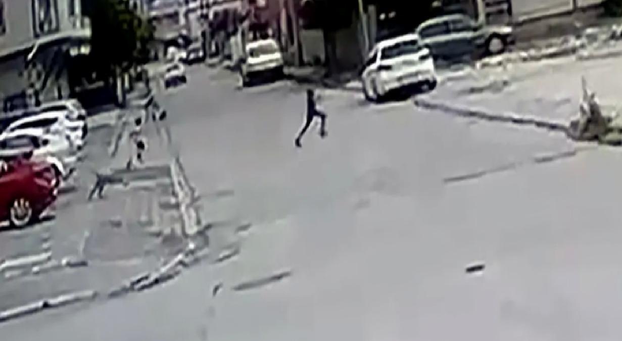 Esnafın Müdahalesiyle Köpek Saldırısından Kurtulan Çocuk