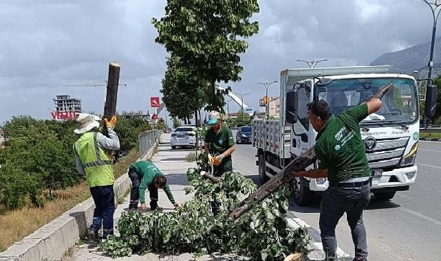 Fırtınanın Zarar Verdiği Ağaçlar Kaldırıldı