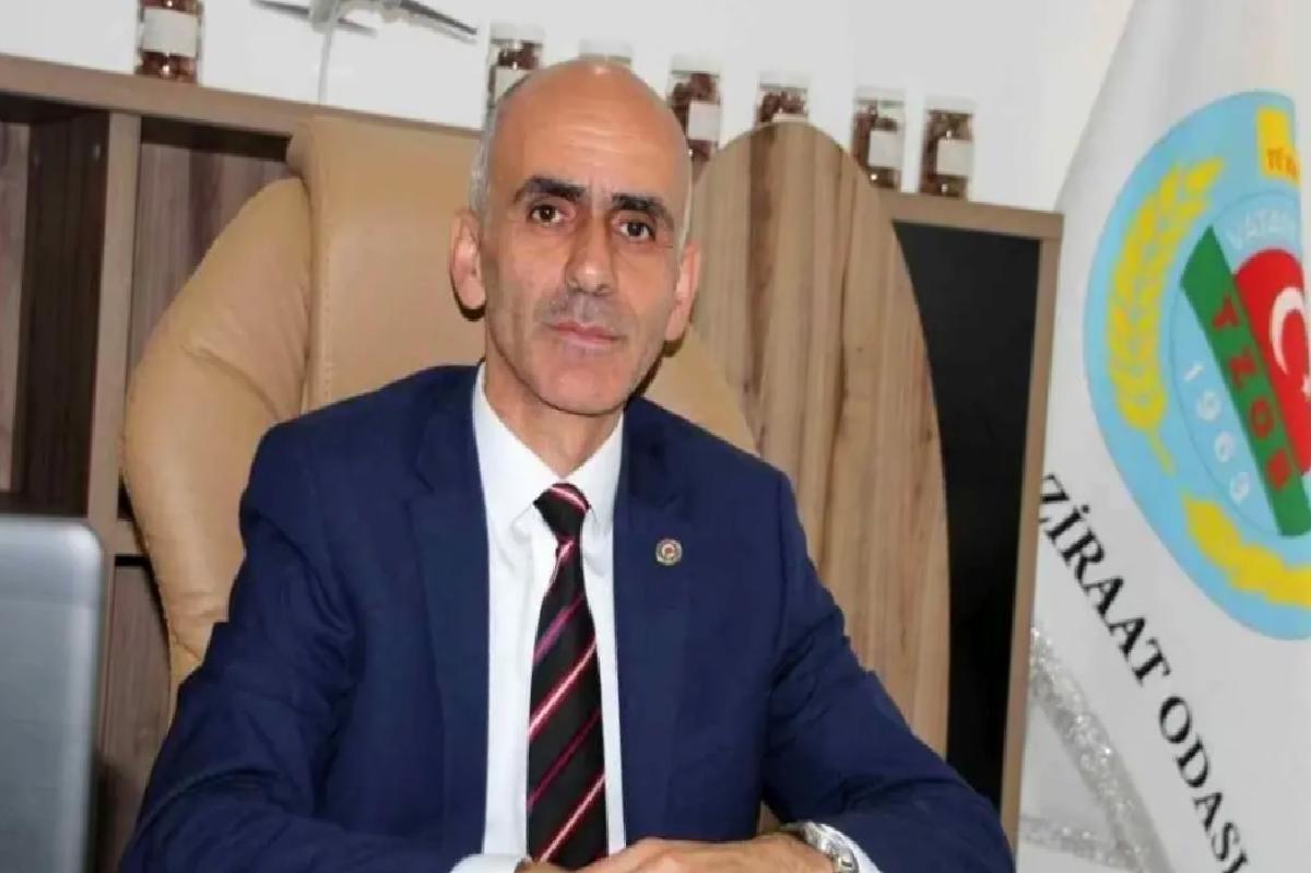 FİSKOBİRLİK’in Arazi Satışı Giresun’un Gelişimine Engel Oluyor