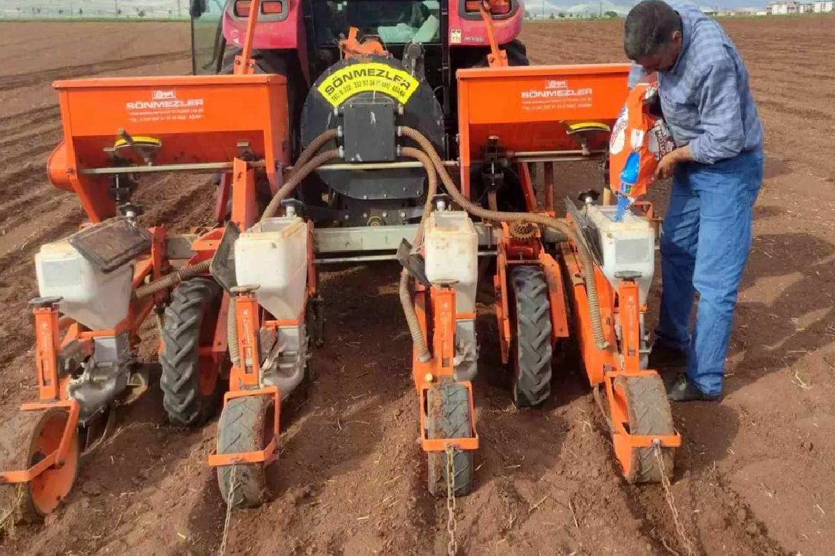 Gaziantep’te 2025 Pamuk Ekimine Başlandı