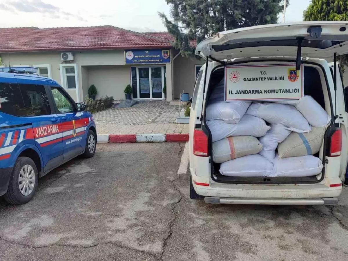 Gaziantep’te Kaçak Tütün Operasyonu