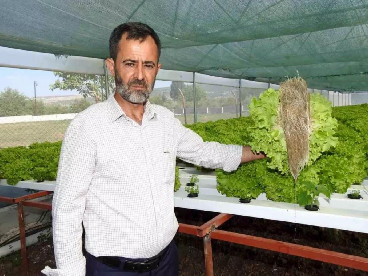 Gaziantep’te Topraksız Tarım ile Hızlı Marul Üretimi
