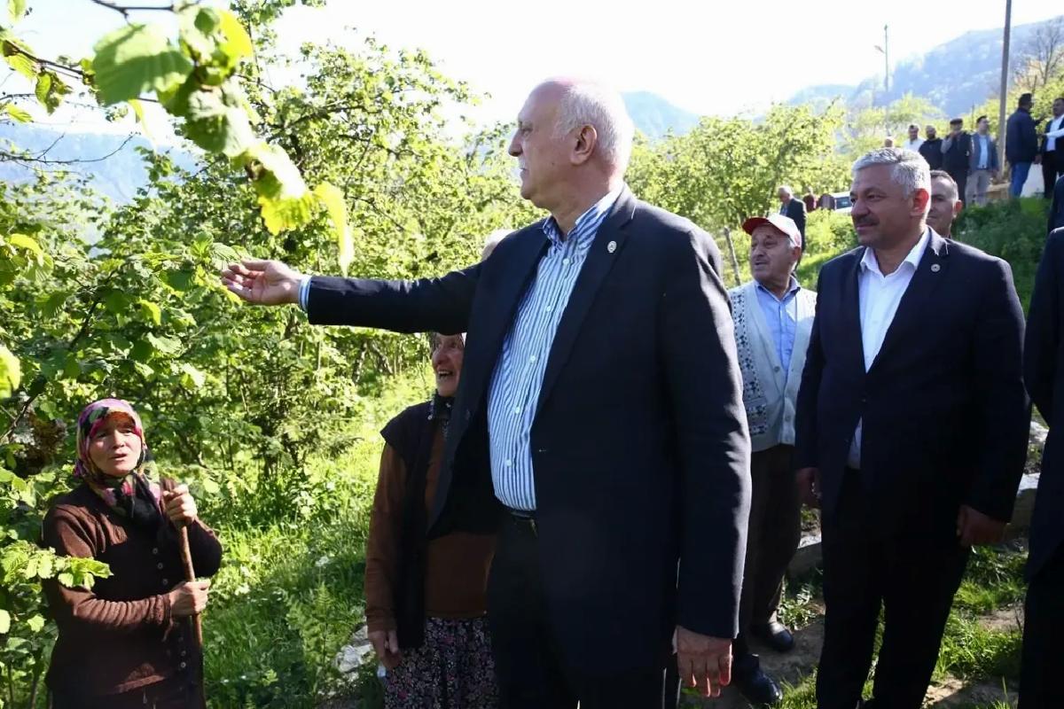 Giresun’da Fındık Bahçelerine Zirai Don Zarar Verdi