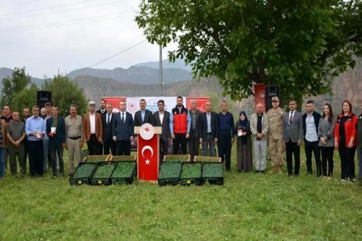 Hakkari’de Sebze Fideleri Dağıtımı