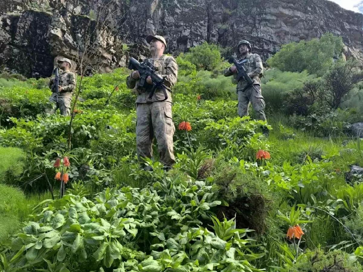 Hakkari’de Ters Lale Koruma Önlemleri Artıyor