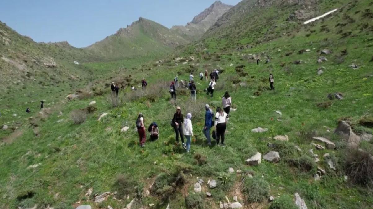Hakkari’de Ters Lale Şöleni