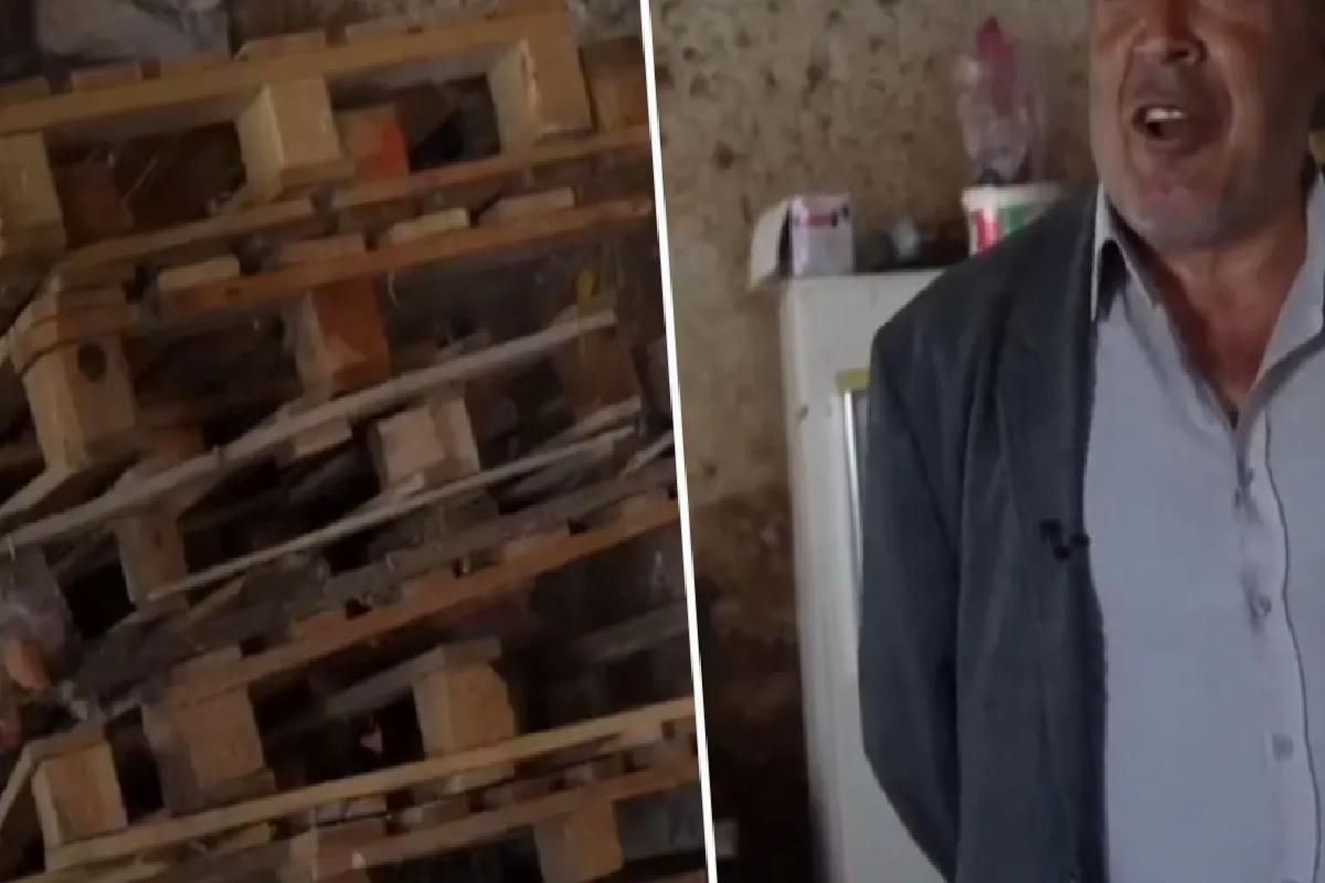 Hayvancılığı bırakıp parasını faize yatıran çiftçinin en büyük pişmanlığı