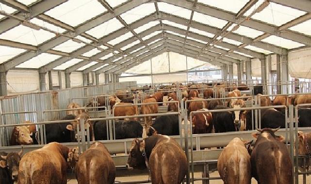 İBB’den Kurban Bayramı İçin 4 Modern Tesis