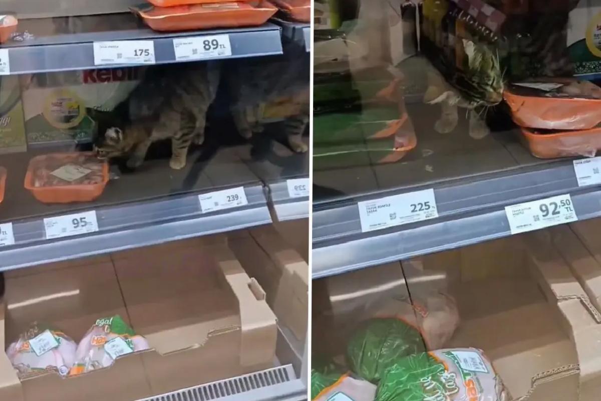İnsan hayatı bu kadar ucuz mu? Zincir markette çekilen görüntüye bakın
