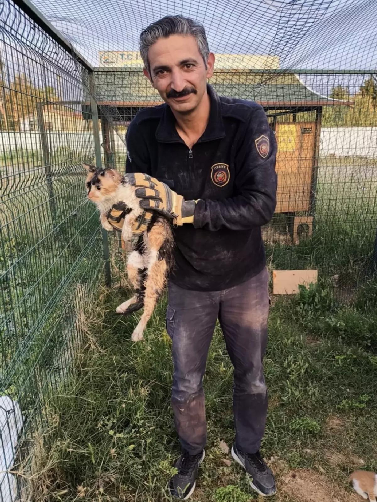 İskenderun’da Kediyi İtfaiye Kurtardı