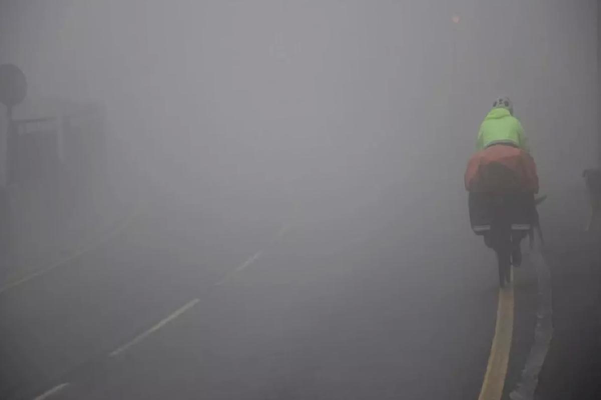 İspanyol Çiftçi Vietnam’a Yola Çıktı