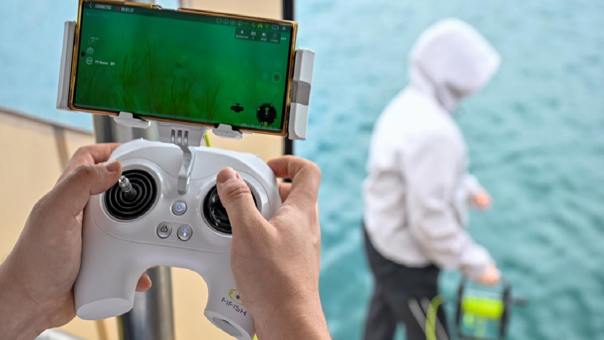 İstanbul Boğazı’ndaki deniz çayırlarının üzerindeki müsilaj arttı