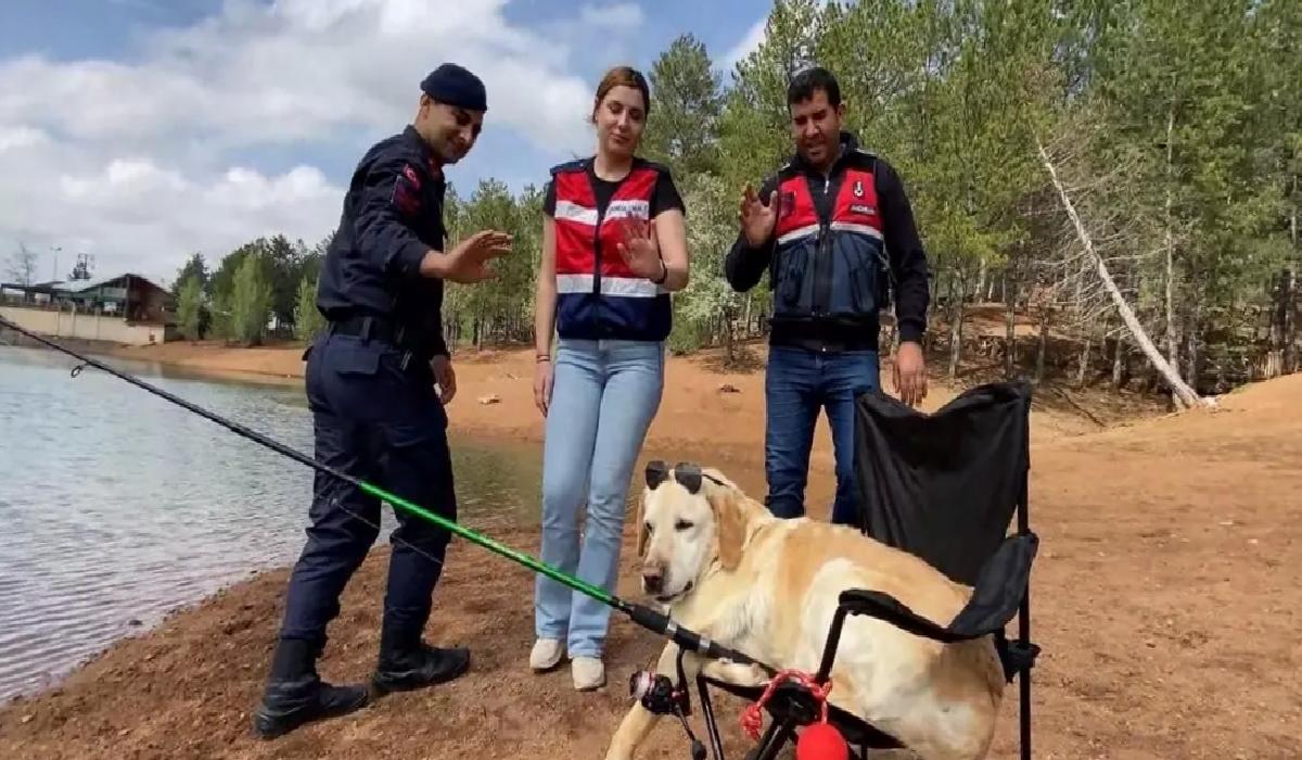 İz Takip Köpeği Dost Emekli Oldu