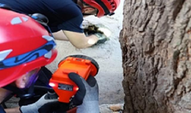 İzmir İtfaiyesi havalandırma bacasına sıkışan kediyi kurtardı