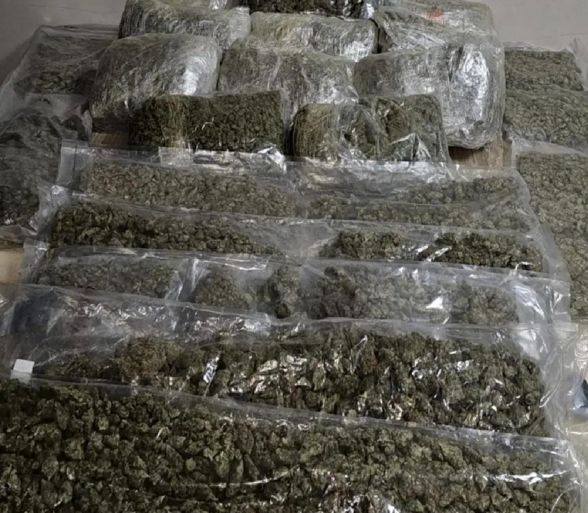 İzmir’de 19 Kilo Esrar Ele Geçirildi