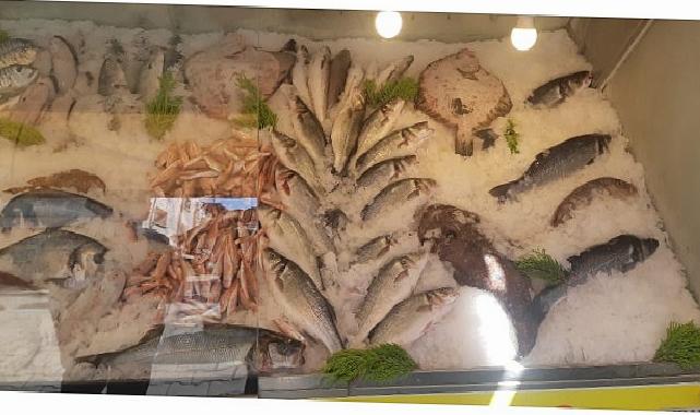 İzmir’de Su Ürünleri Denetimlerinde Ceza Yağdı: Yasa Dışı Avcılığa Geçit Yok