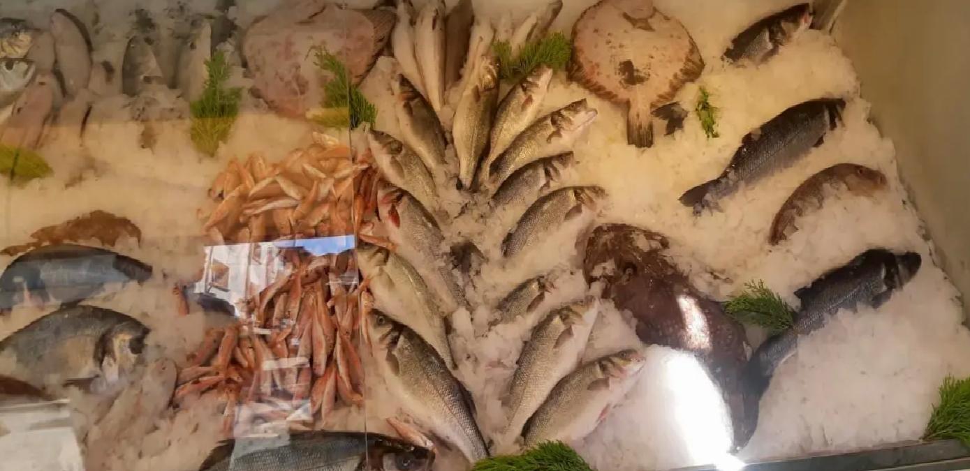 İzmir’de Su Ürünlerine Ceza