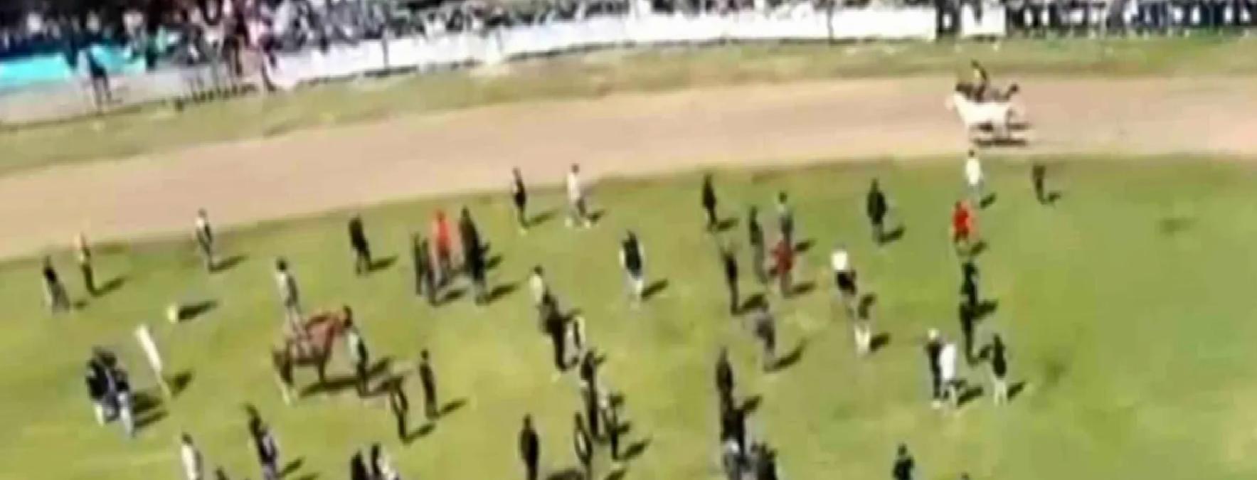 Jokeyini Atan At, Yarışı Kazandı
