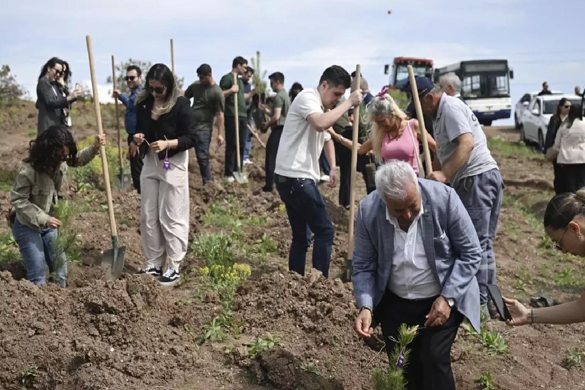 Kadına Şiddete Dikkat: 2 Bin Fidan Dikildi