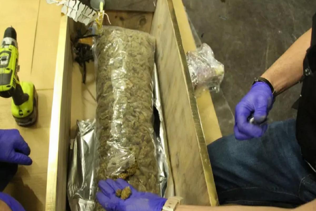 Kapıkule’de 49 Kilo Esrar Ele Geçirildi