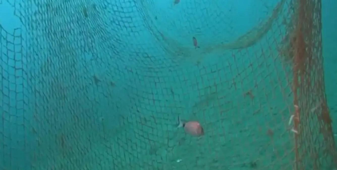 Karaburun’da Hayalet Ağ Temizliği