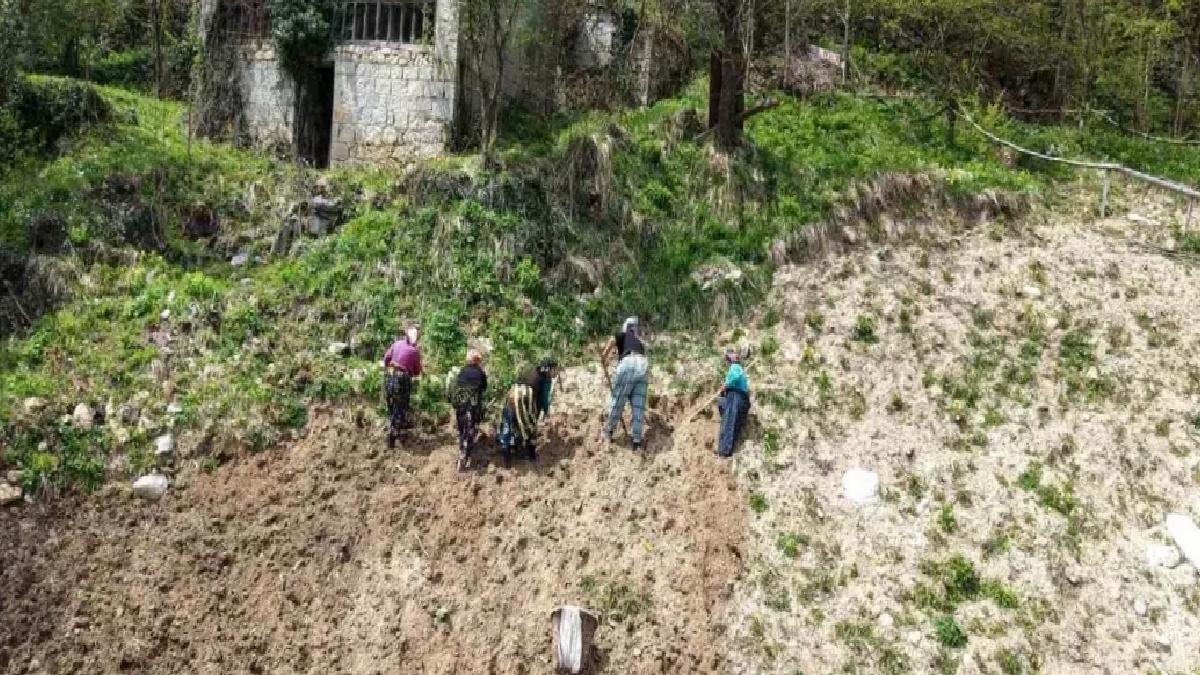 Karadeniz Kadınları Baharla Tarlalarda