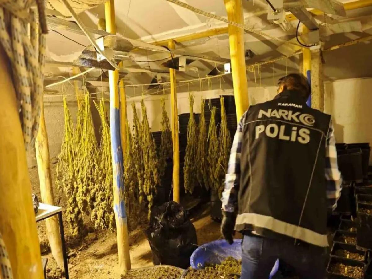 Karaman’da Gizli Kenevir Serası Operasyonu