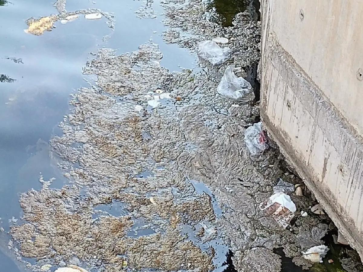 Karamürsel’de Denizde Köpüksü Tabakalar