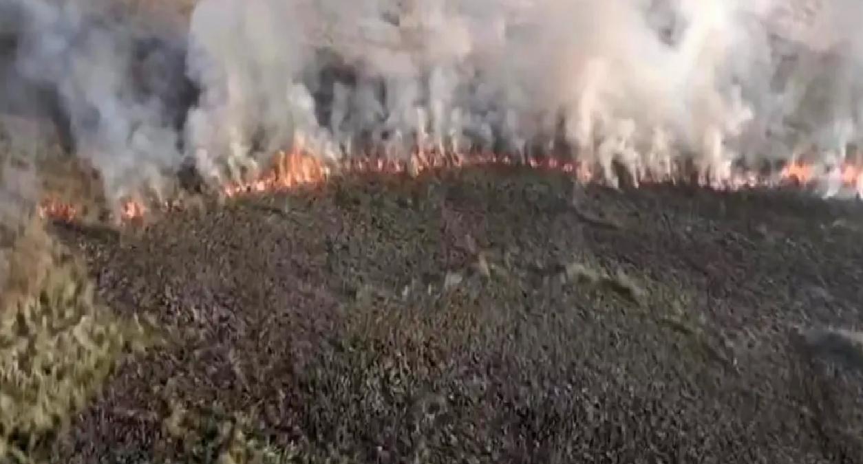 Karasu’da Yangın: 60 Dönüm Zarar Gördü