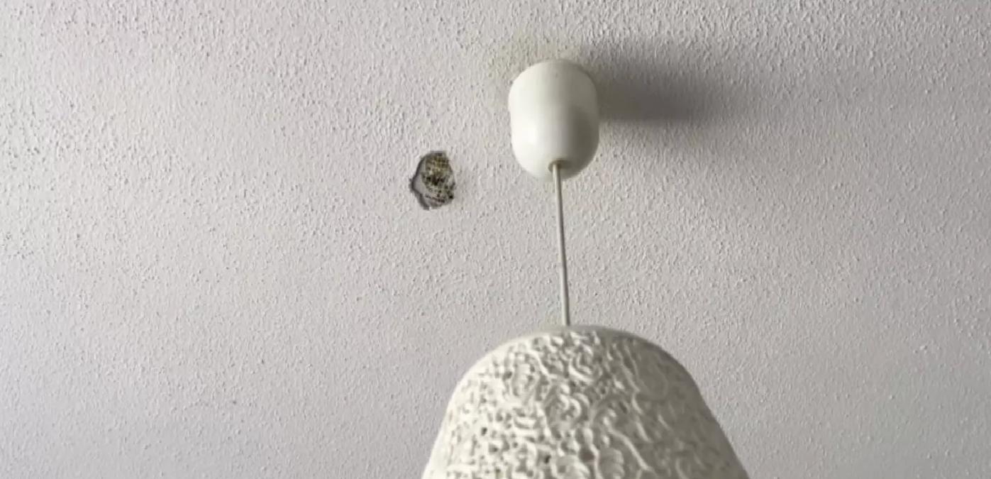 Kardeş Kardeşi Hiltiyle Rahatsız Etti