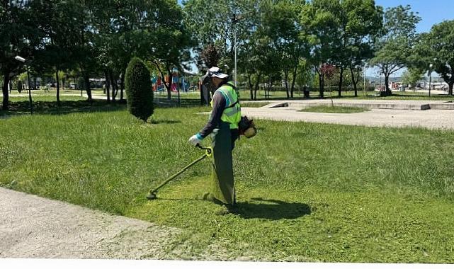 Kartepe’de Yeşil Alanlara Düzenli Bakım