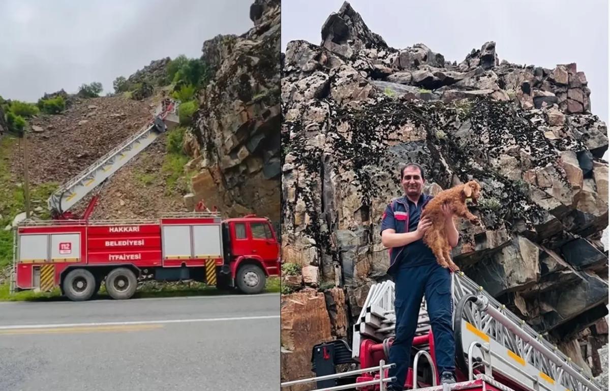 Kayalıklarda Mahsur Kalan Oğlak Kurtarıldı