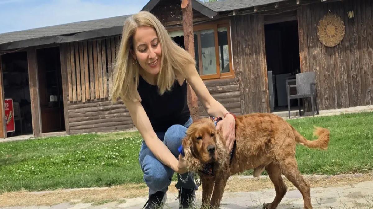 Kaybolan Çilek Kurtarıldı