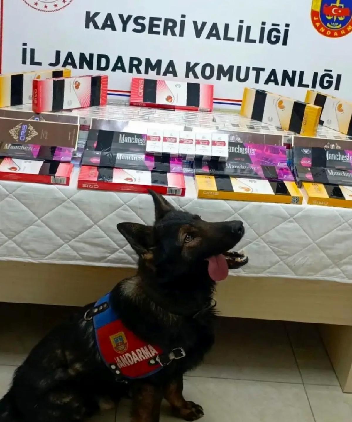 Kayseri’de 700 Paket Kaçak Sigara Ele Geçirildi