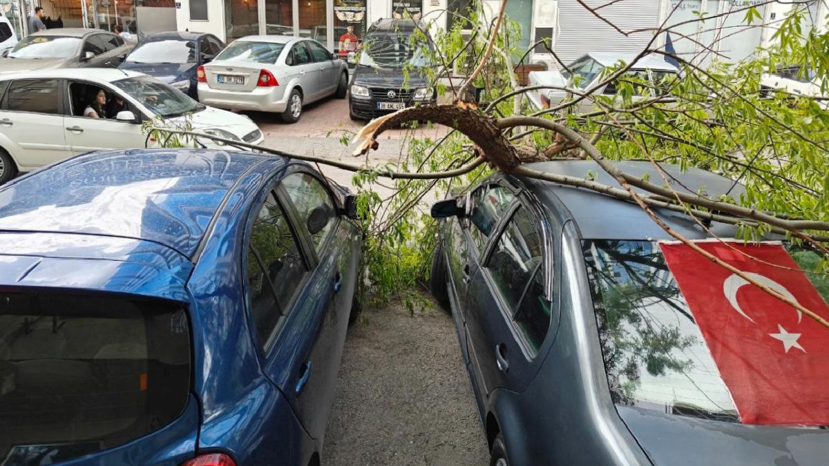 Kayseri’de park halindeki araçların üzerine ağaç dalı düştü
