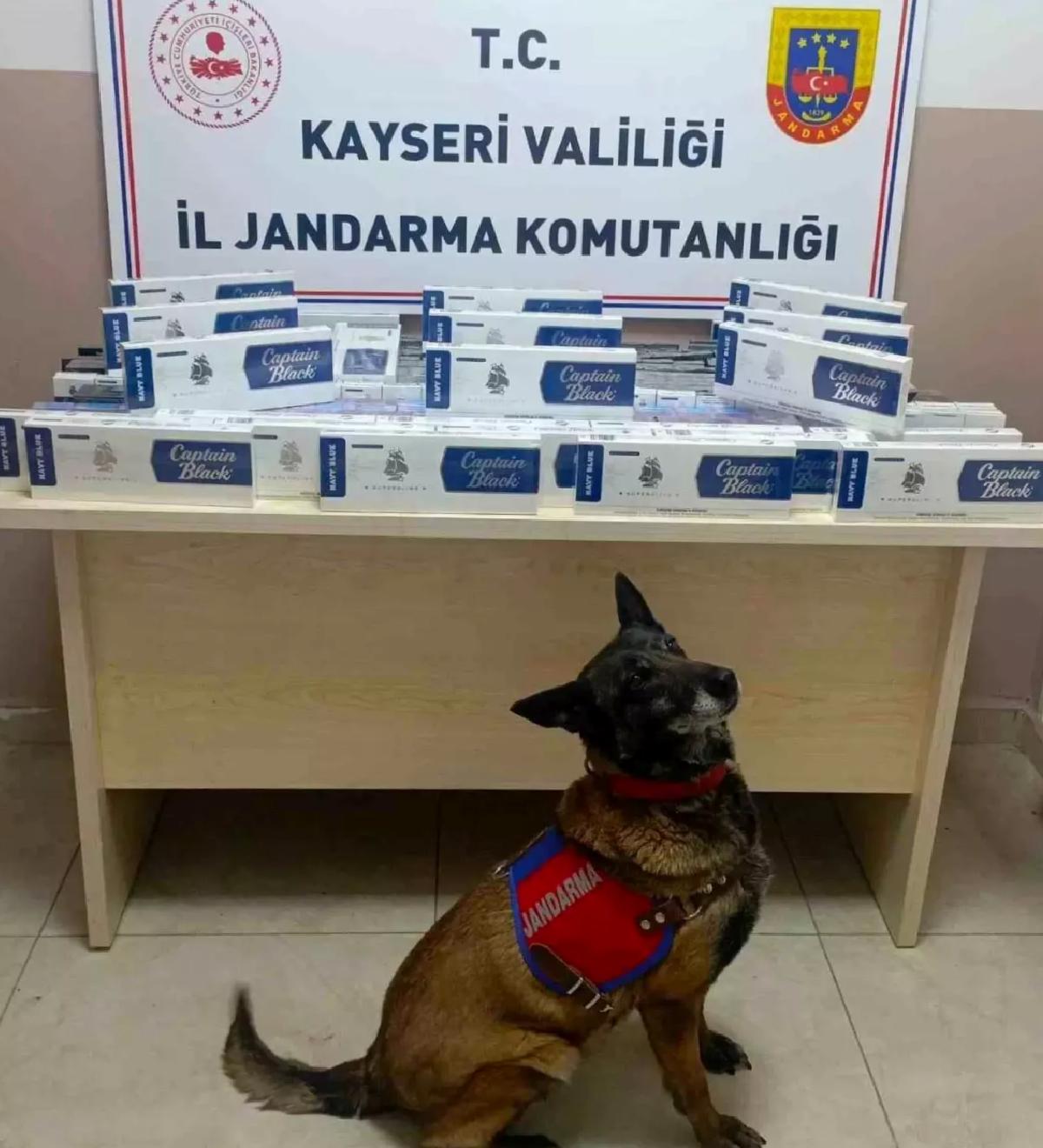 Kayseri’de Tırda Kaçak Sigara Ele Geçirildi