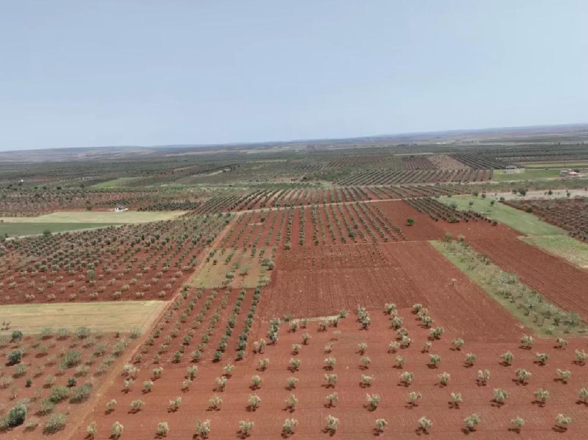Kilis’te Atık Su ile Tarım Arazileri Sulanacak