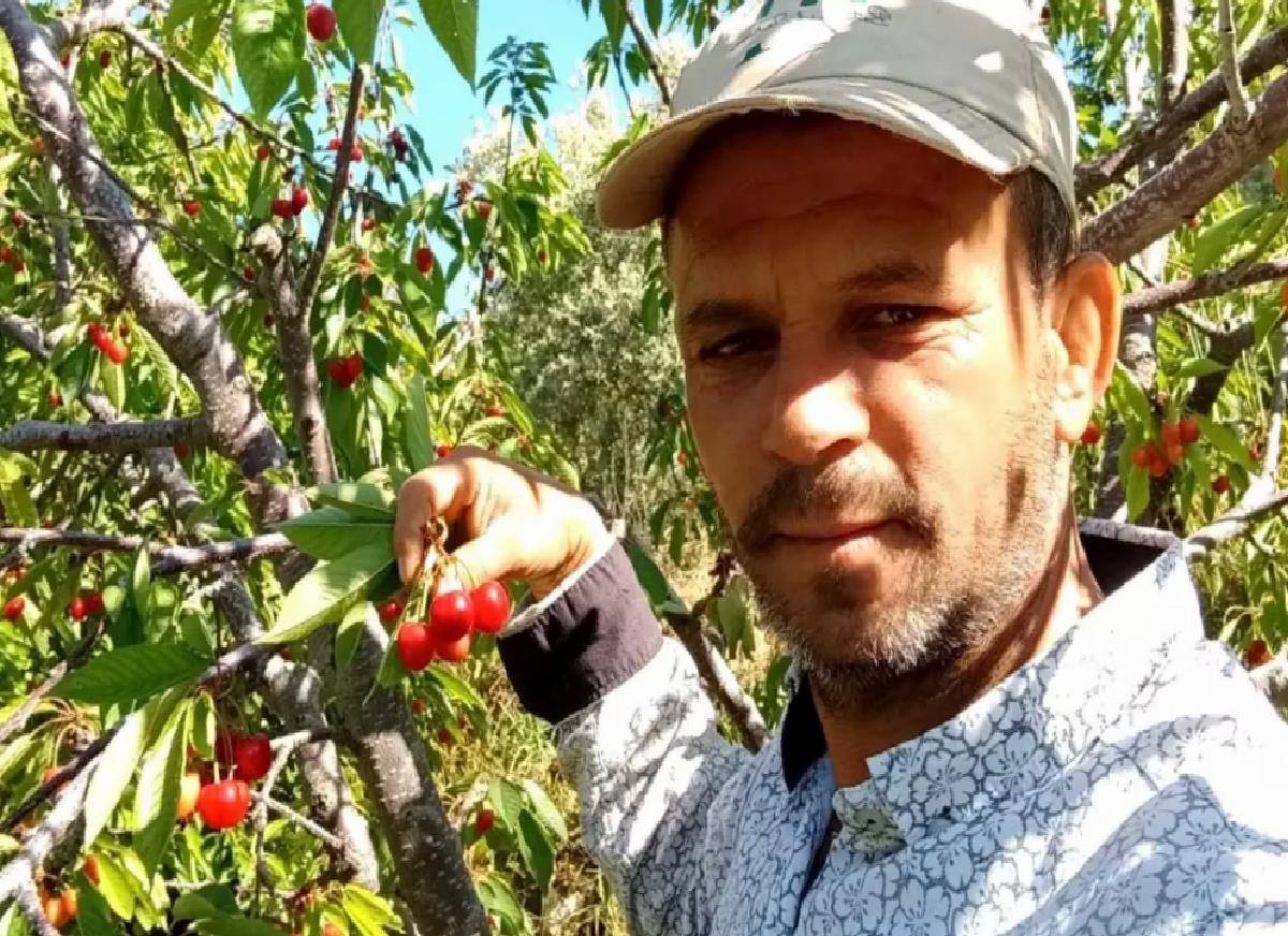 Kiraz Üreticileri Düşük Verime Rağmen Harga Sevindirdi