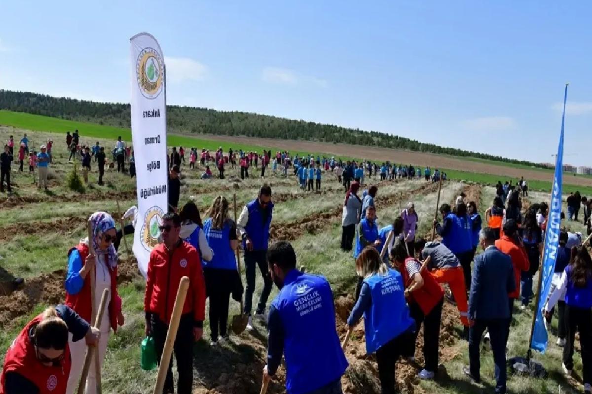 Kırşehir’de 1000 Fidan Dikimi