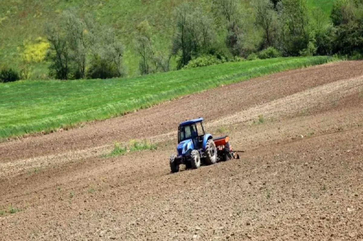 Kocaeli’de Çiftçilere Yüzde 50 Hibeli Mısır Tohumu ve Gübre Desteği