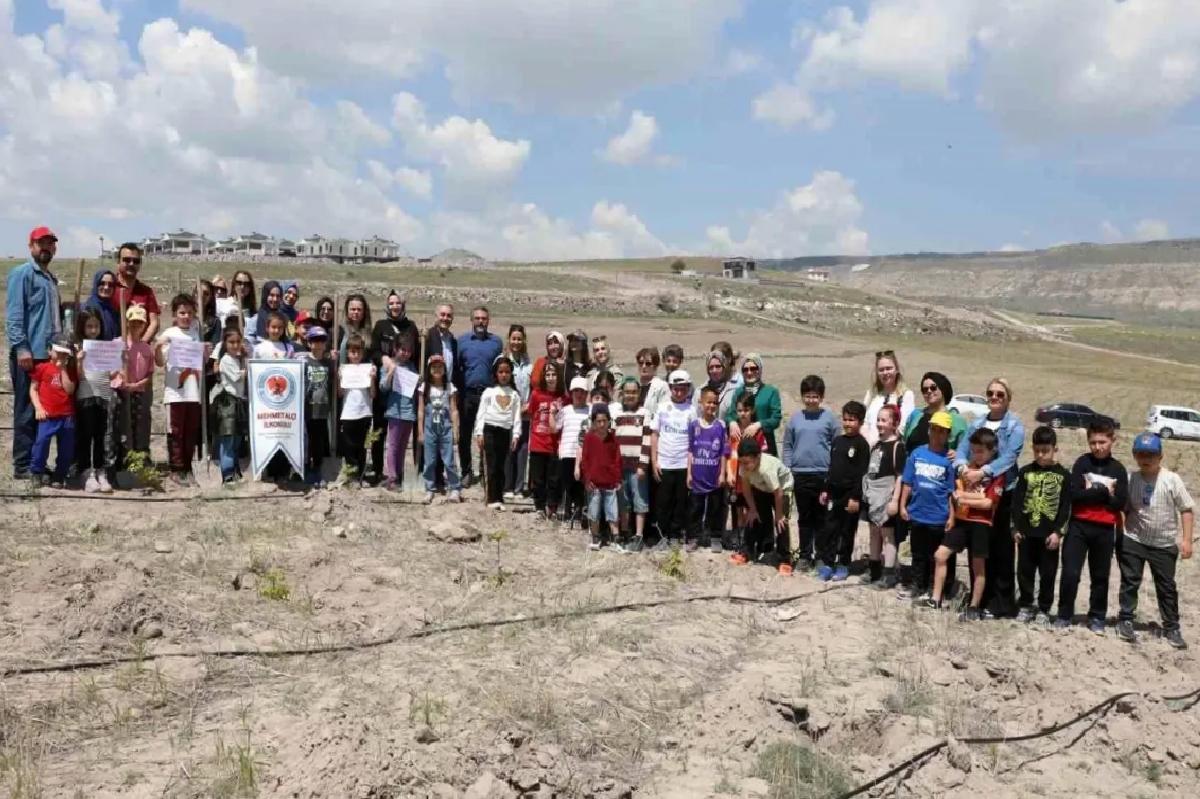 Kocasinan Belediyesi’nden Ağaç Dikim Faaliyeti