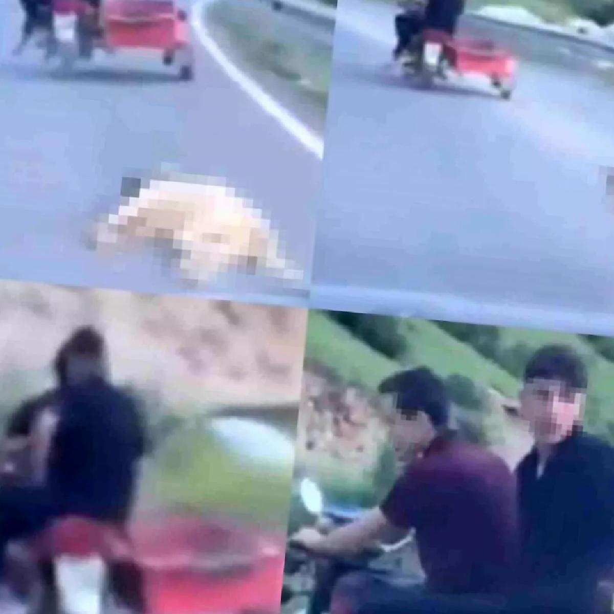 Köpeği Sürükleyen Şahsa 50 Bin TL Ceza