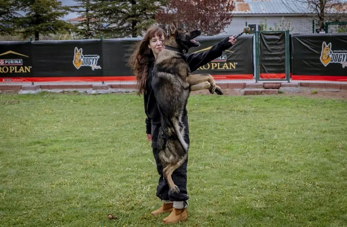 Köpekler Su Kaçaklarını Tespit Edecek