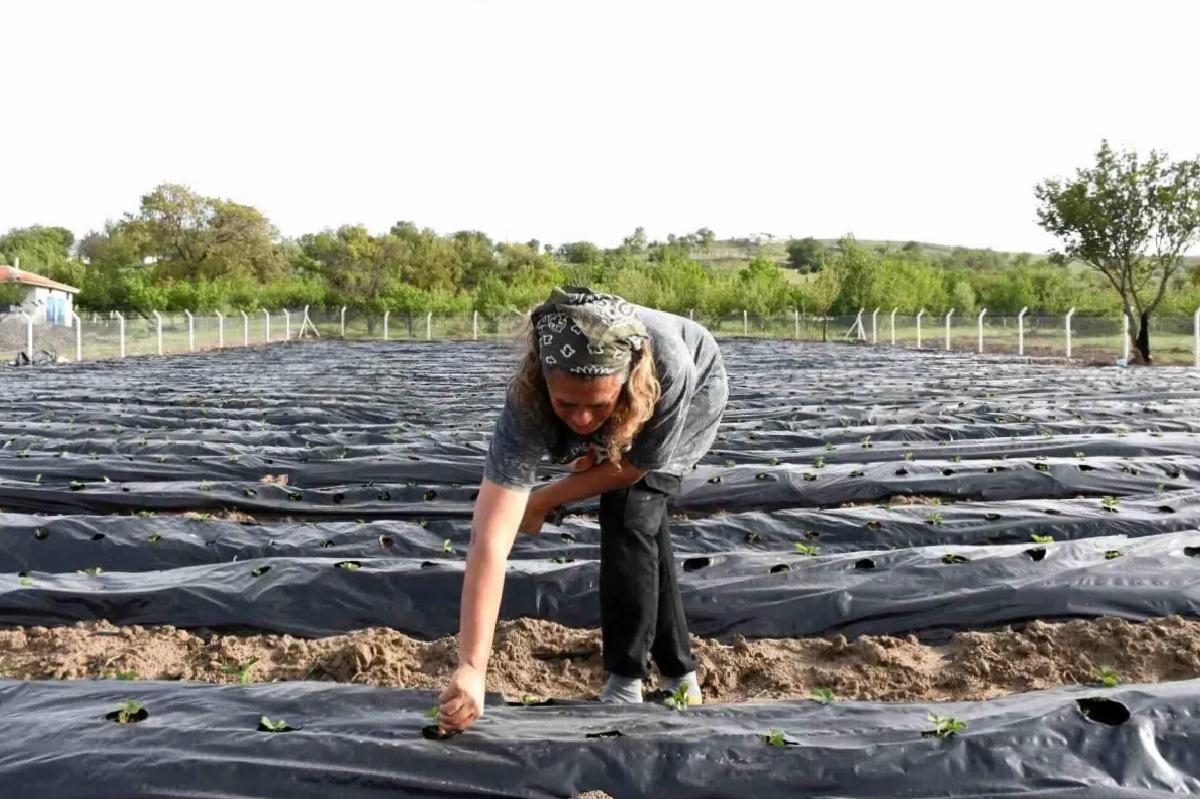 Korona sonrası tarıma yöneldiler