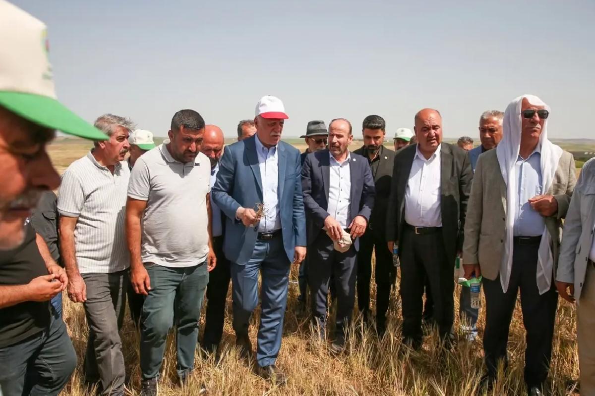Kuraklık Diyarbakır’da Tarımı Tehdit Ediyor
