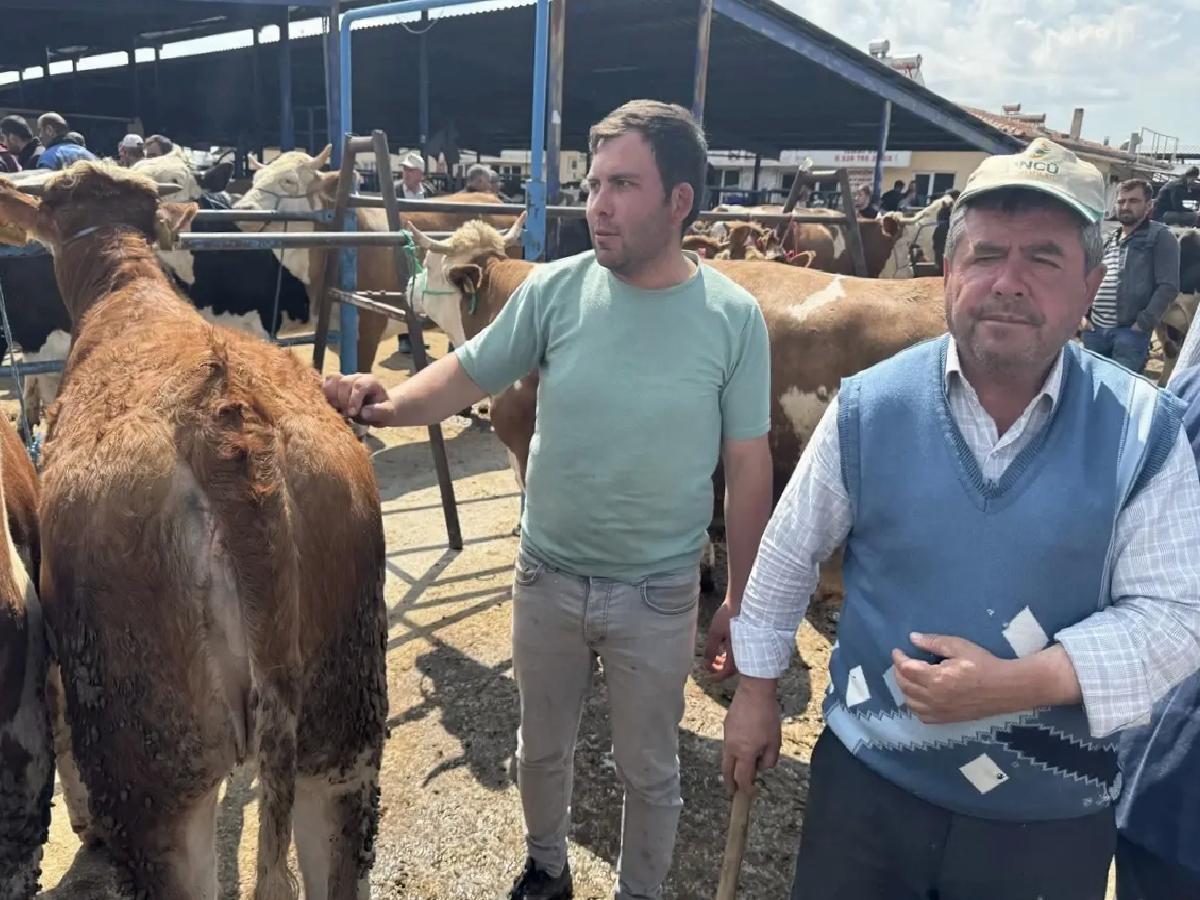 Kurban Bayramı için Hayvan Pazarı Hareketlendi